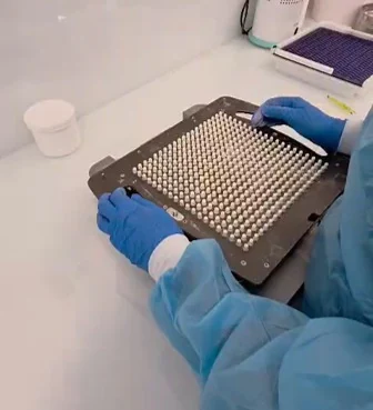 Manuseamento de uma placa de preparação de cápsulas com luvas